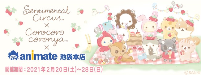 センチメンタルサーカス×ころころコロニャのスペシャルコラボ決定