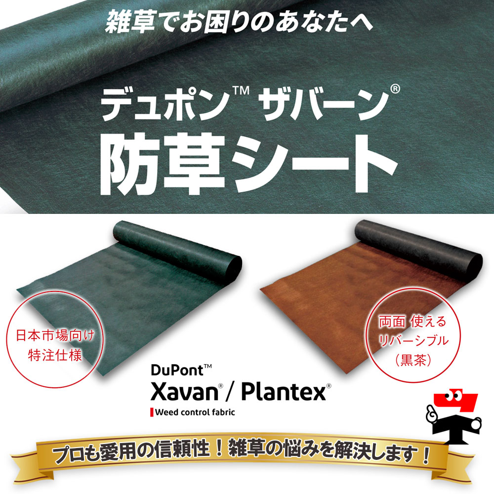 00_xavan_spec01.jpg