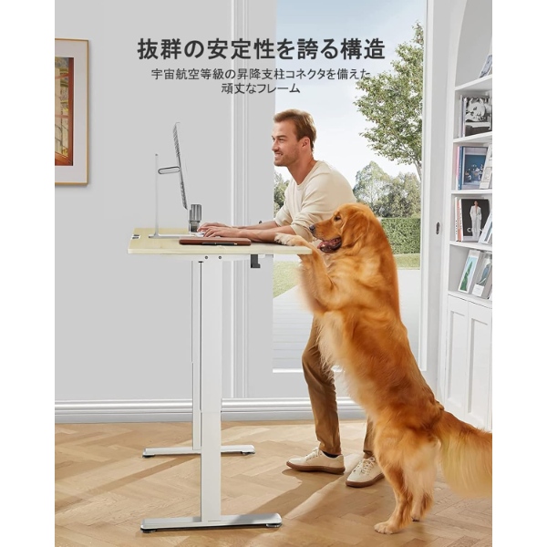 メーカー直送】 ErGear 電動昇降デスク 昇降式デスク スタンディング