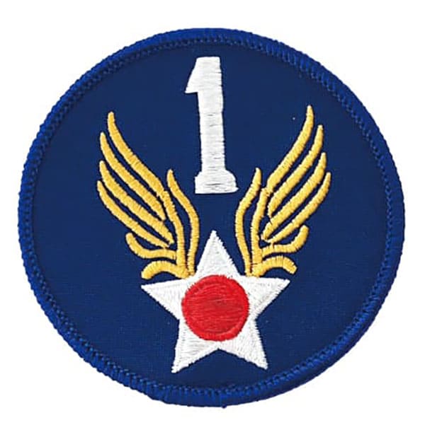 Army Air Corps WWII ミリタリー ワッペン パッチ USAAF 米軍 空軍