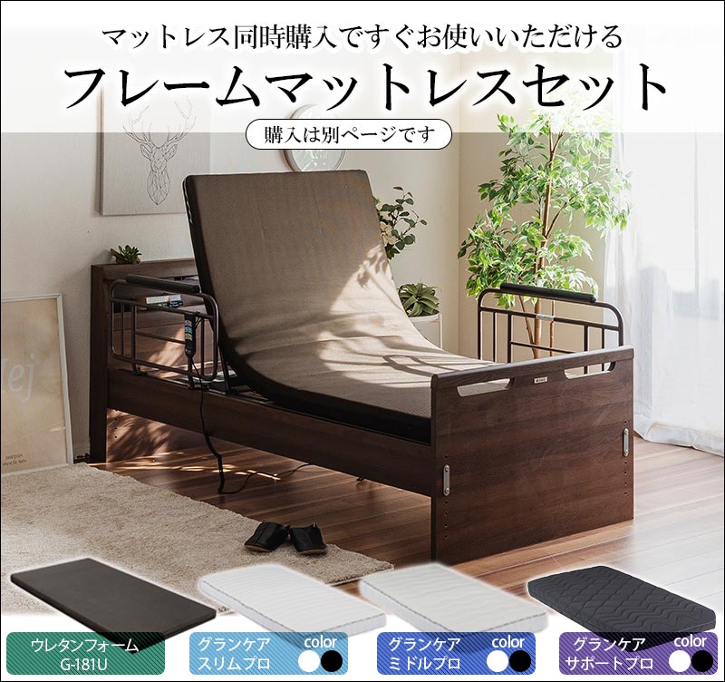 eーcasa（イーカーサ） グランツ 正規代理店 リクライニングベッド