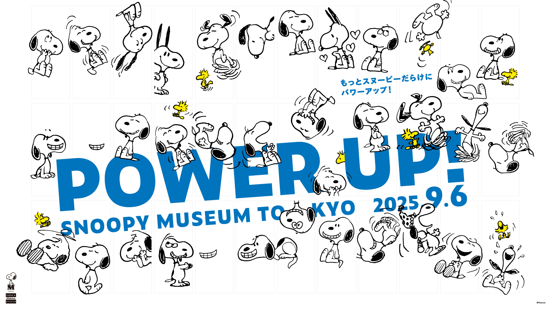 NEWS｜SNOOPY MUSEUM TOKYO