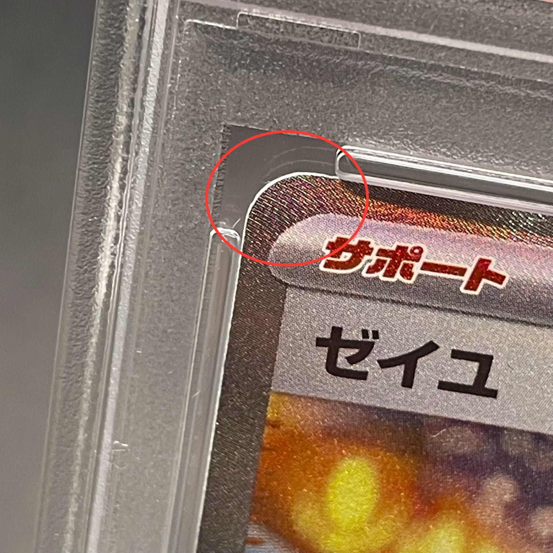 PSA10】ゼイユ SAR 130/101 1枚の通販 土日祝休@magi公式(コレクター