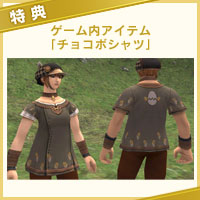 e-STORE専売】(PC)ファイナルファンタジーXI ヴァナ・ディール