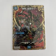 m36170973752_1.jpg?1758334970