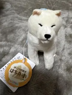 2026年最新】秋田犬 ほっこりの人気アイテム - メルカリ