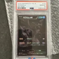 2026年最新】ゼクロム psa10 bwの人気アイテム - メルカリ