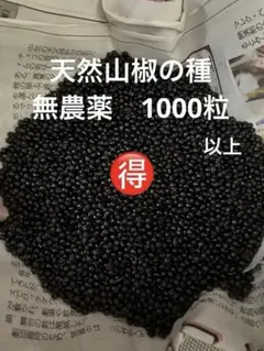 2026年最新】山椒種の人気アイテム - メルカリ