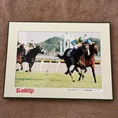 2026年最新】パネル gallopの人気アイテム - メルカリ