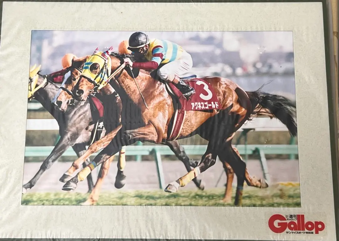 2026年最新】パネル gallopの人気アイテム - メルカリ