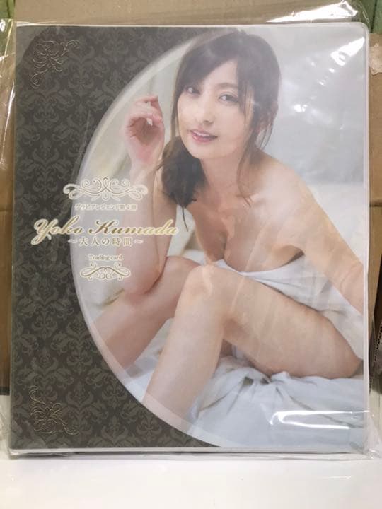 熊田曜子　トレーディングカード　バインダーセット 71ddZOWOXXL._AC_UF350,