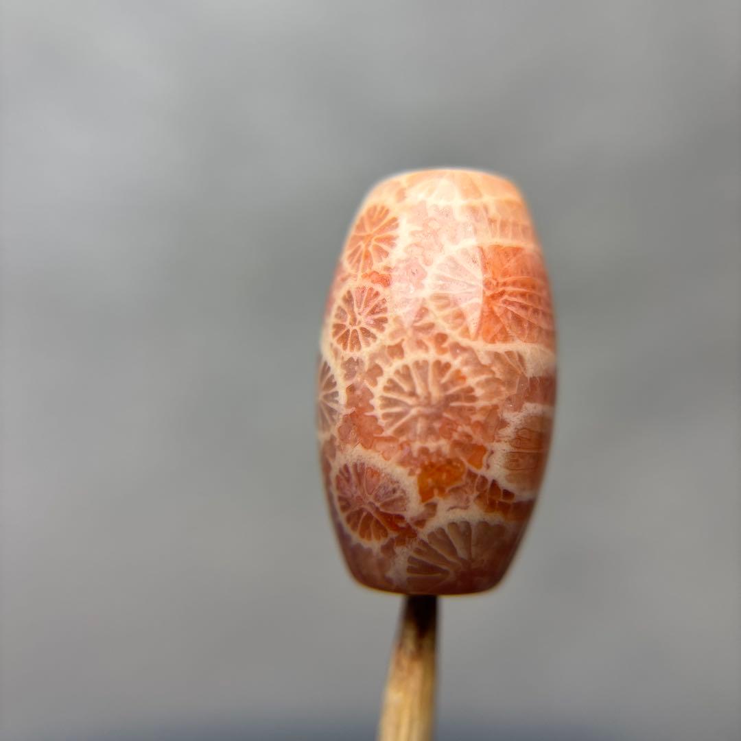 あずきちゃんフォッシルコーラル　天珠　1-297