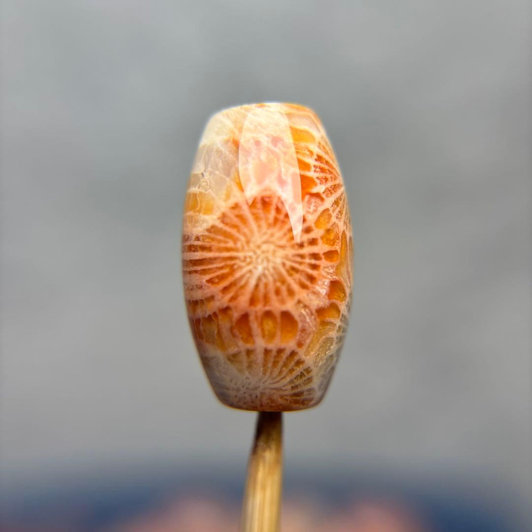 もんちゃんフォッシルコーラル　天珠　1-288 サーモンnoodle（ヌードル） 三軒茶屋 | サーモンラーメン専門店