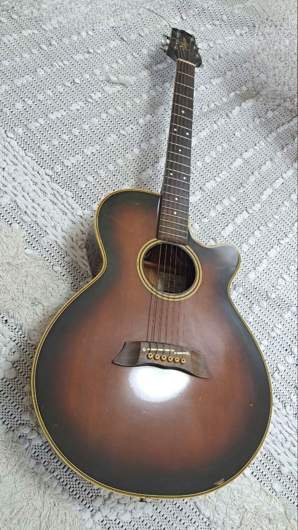 Takamine エレアコ PT-106 ハードケース付き タカミネ Amazon.co.jp: 長渕剛愛用 Takamine エレアコPT106 純正ハードケース付