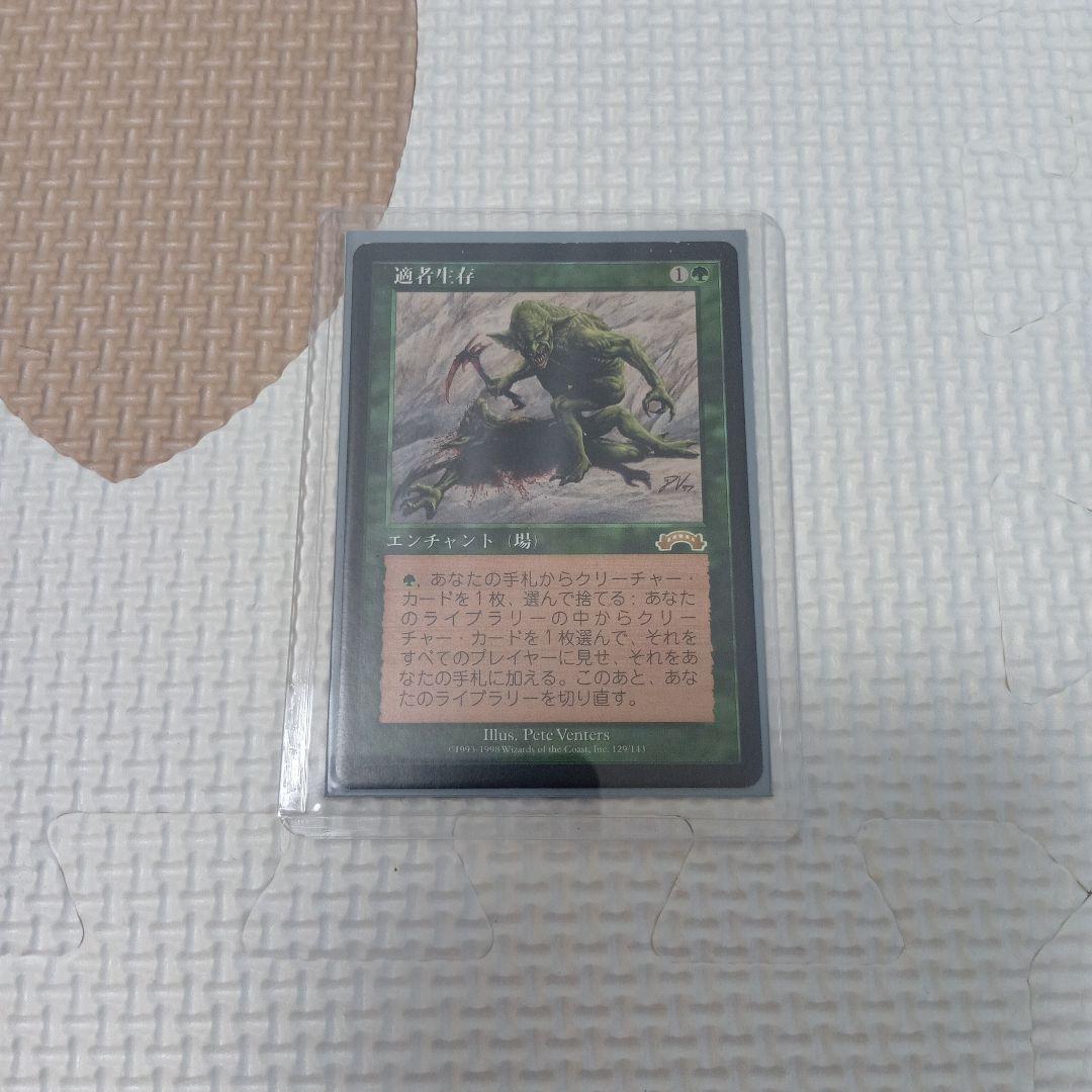 ※ラスト1枚【再録禁止カード】適者生存 EXO版 日本語版 適者生存 [EXO] 【BIGWEB | MTG】日本最大級の激安カードゲーム通販専門店