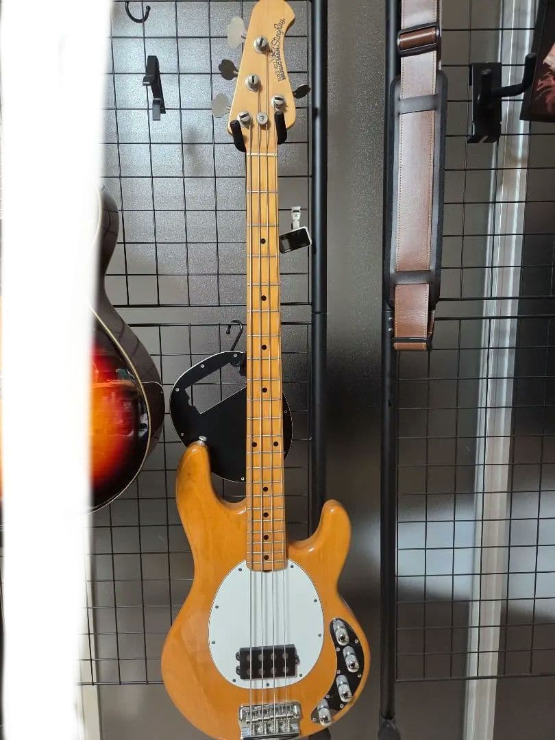 MUSIC MAN StingRay エレキベース 楽天市場】MUSICMAN（ミュージックマン）Mike Herrera StingRay Bass