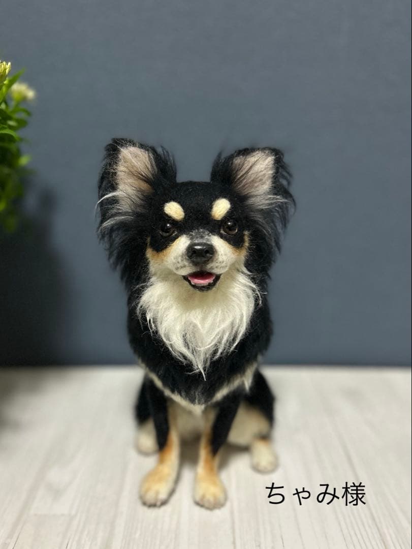 羊毛フェルトチワワ　ちゃみ様用 羊毛フェルトのセミオーダーのチワワ、ミンクちゃんが完成しました