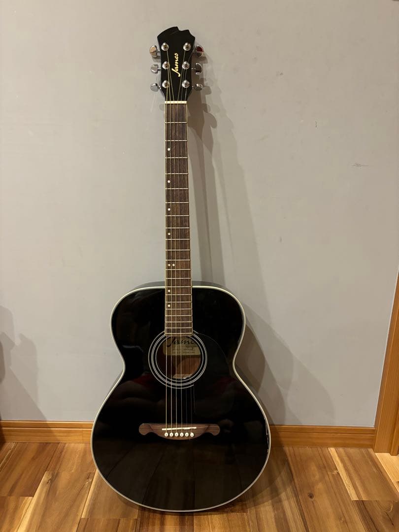 ジェームスアコースティックギターJF350BK