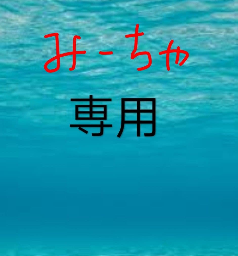 塩筋子２ｋ 特たらこ２ｋ みーちゃ 楽天市場】塩筋子の通販