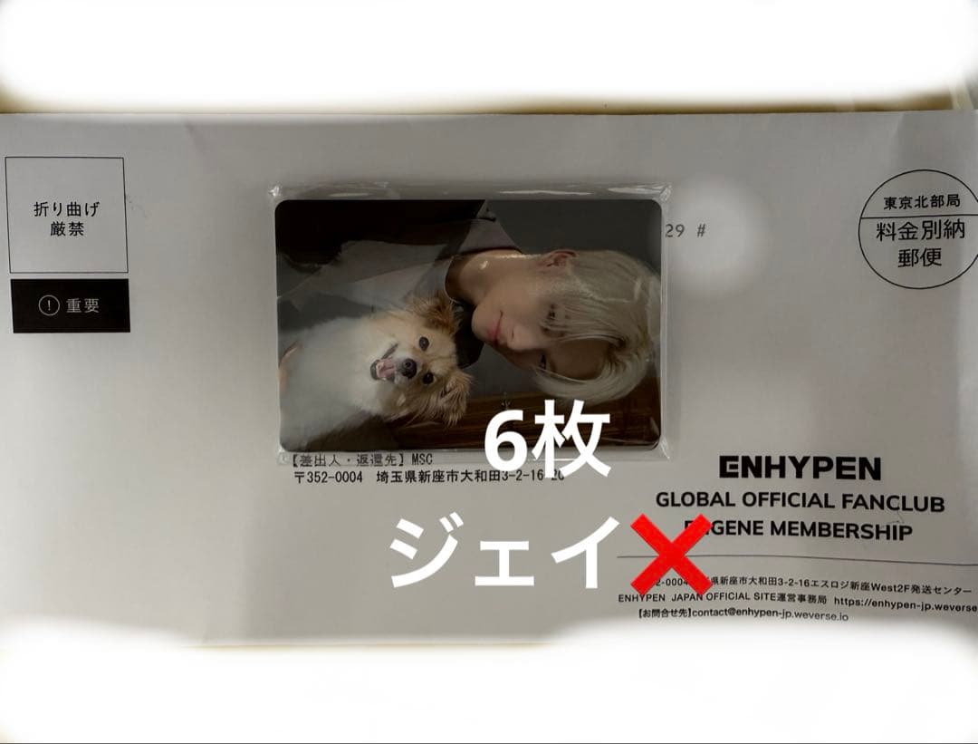 アンケートトレカ　特典カード　enhypen 6枚セット ENHYPENグッズ ギフトボックス フォトカード Daydream テープ セット