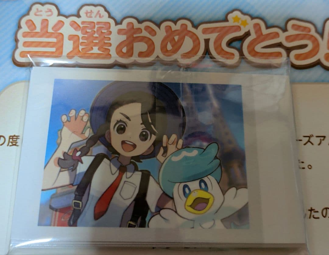 (Twitter当選品)POKÉMON TRAINERS フォトカード10枚 ポケ (@JoX6knbagcXftN8) / Posts / X