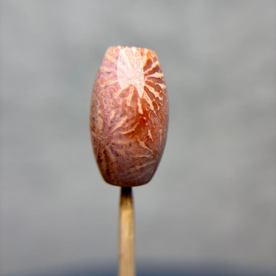 もんちゃんフォッシルコーラル　天珠　1-331 maxresdefault.jpg