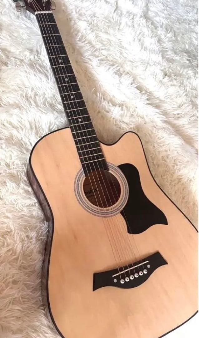 アコースティックギター ナチュラルカラー ケース付き おまけ付き 楽天市場】ギターケース アコースティック (ハードケース ドレッド