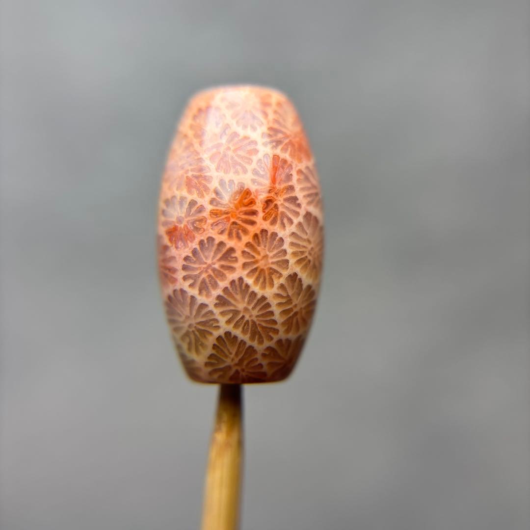 もんちゃんフォッシルコーラル　天珠　1-298 もんちゃん様専用フォッシルコーラル 天珠 3-302